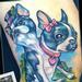 Tattoos - two Headed Boston Terrier Tattoo - 57257